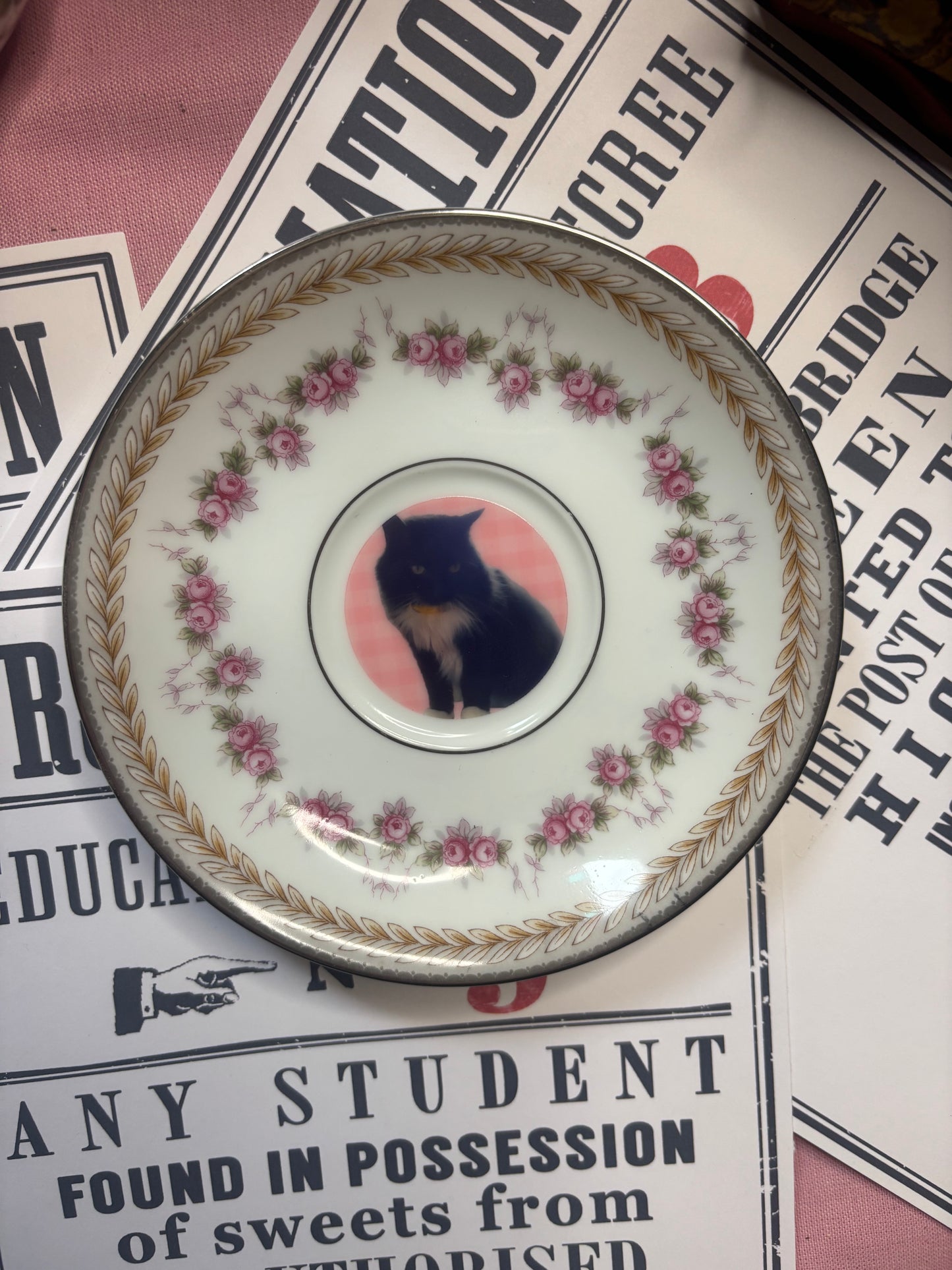 Custom Pet Plates