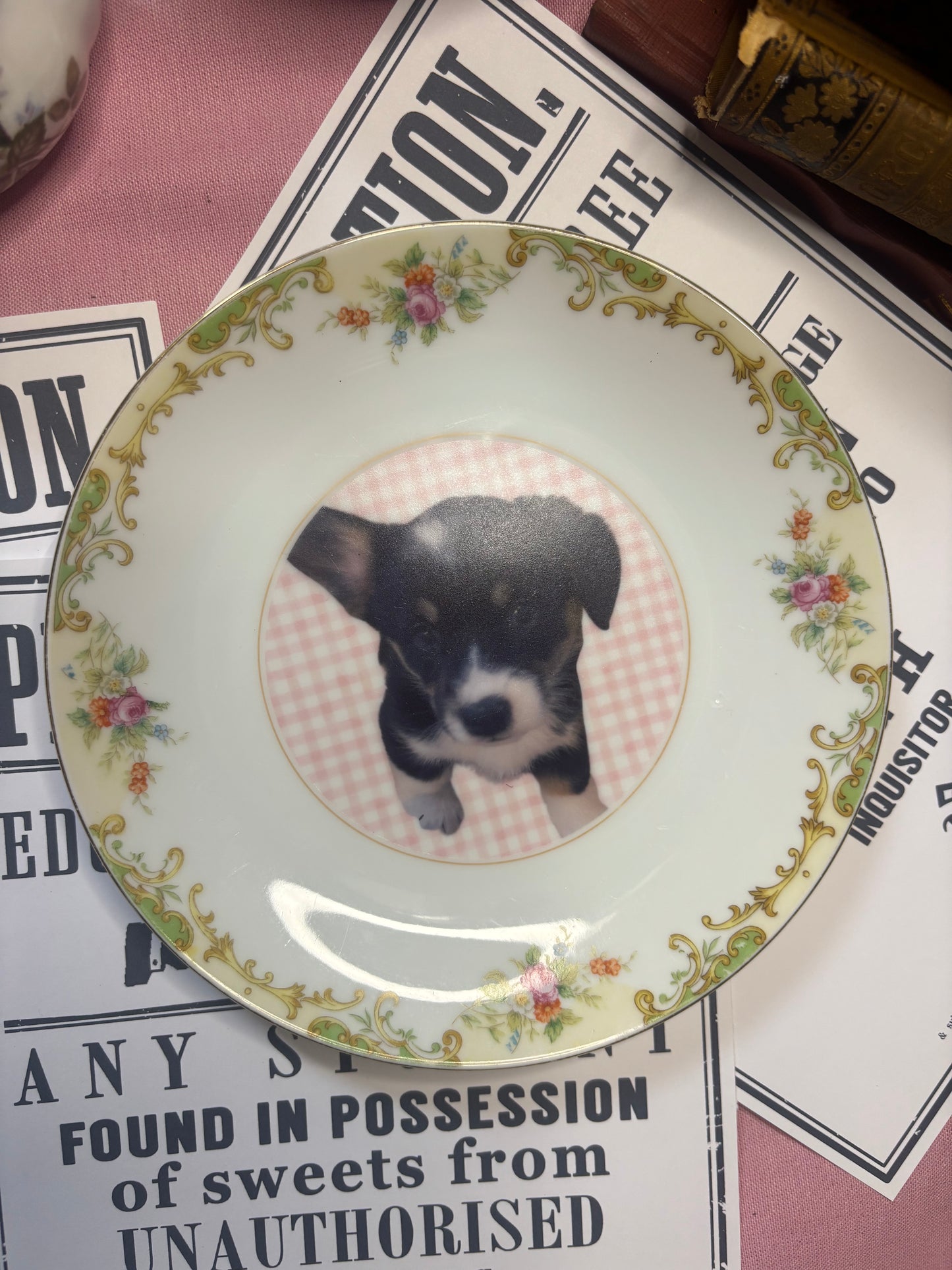 Custom Pet Plates