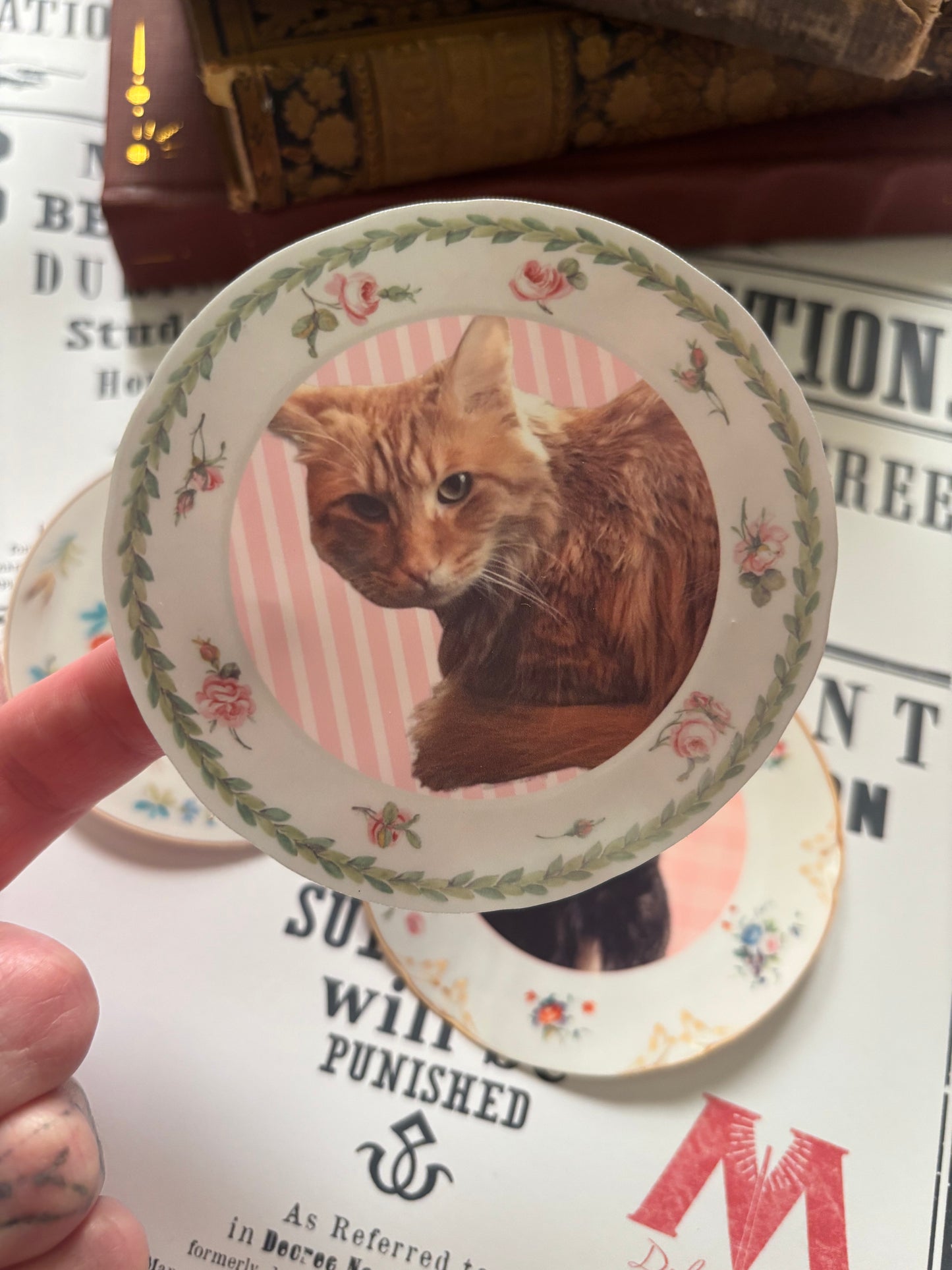 Custom Pet Plate Sticker