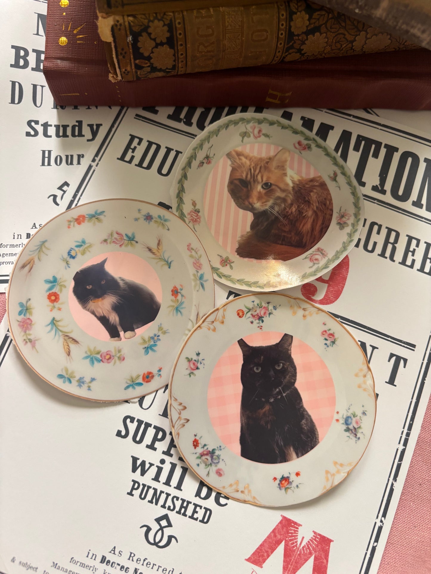 Custom Pet Plate Sticker